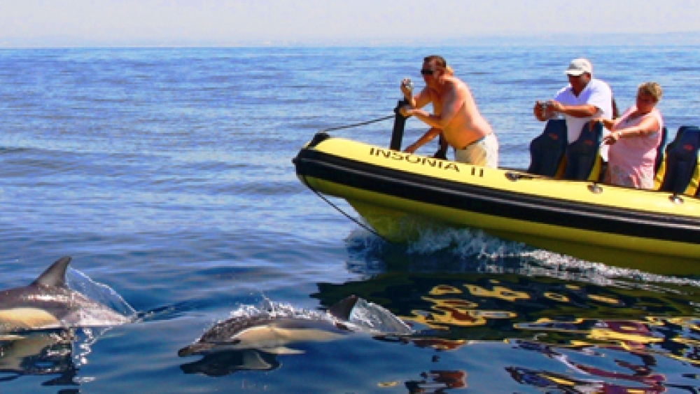 Dream Wave - Dolphins, Jet-Ski, Boats Albufeira (Algarve)