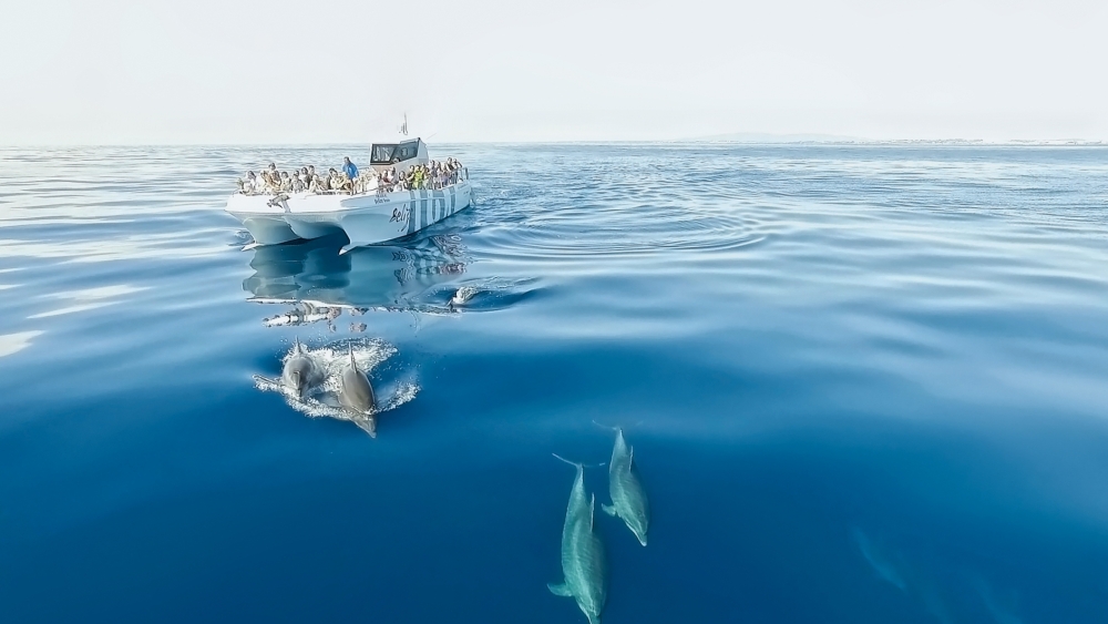 AlgarExperience - Enjoy the Sea