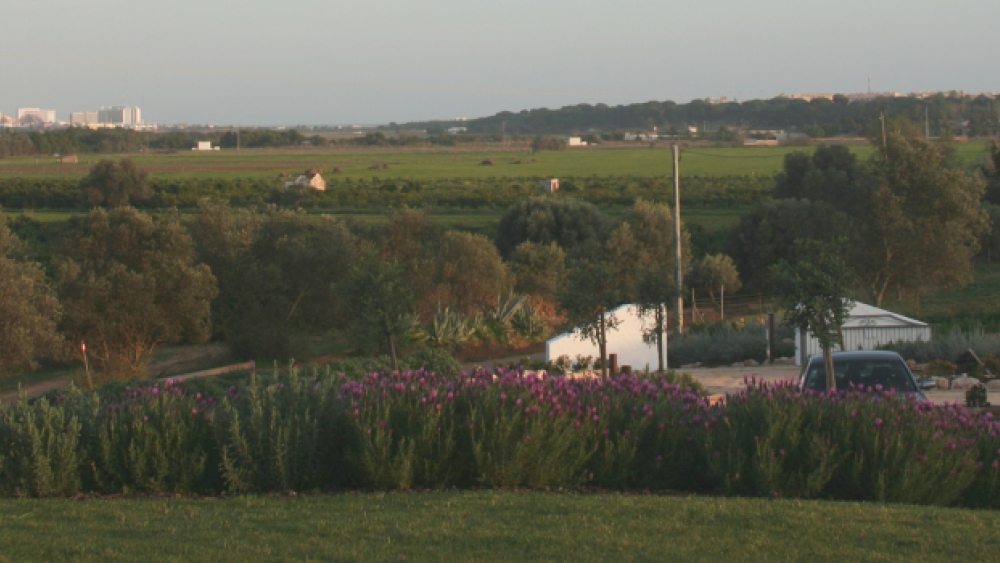 Quinta do Mel - Agroturismo