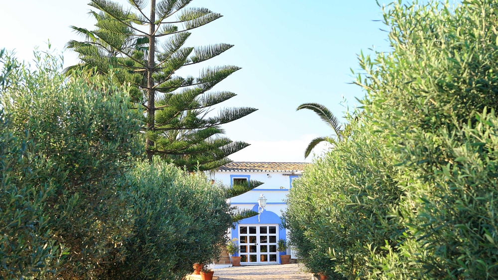 Monte das Cortelhas - TER