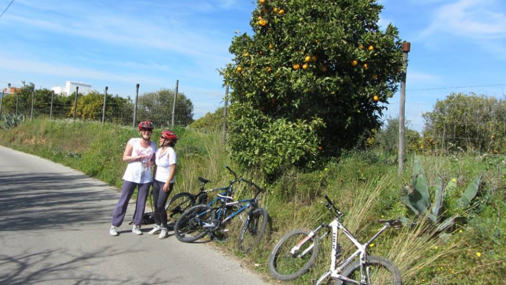 Albufeira Bike Rental