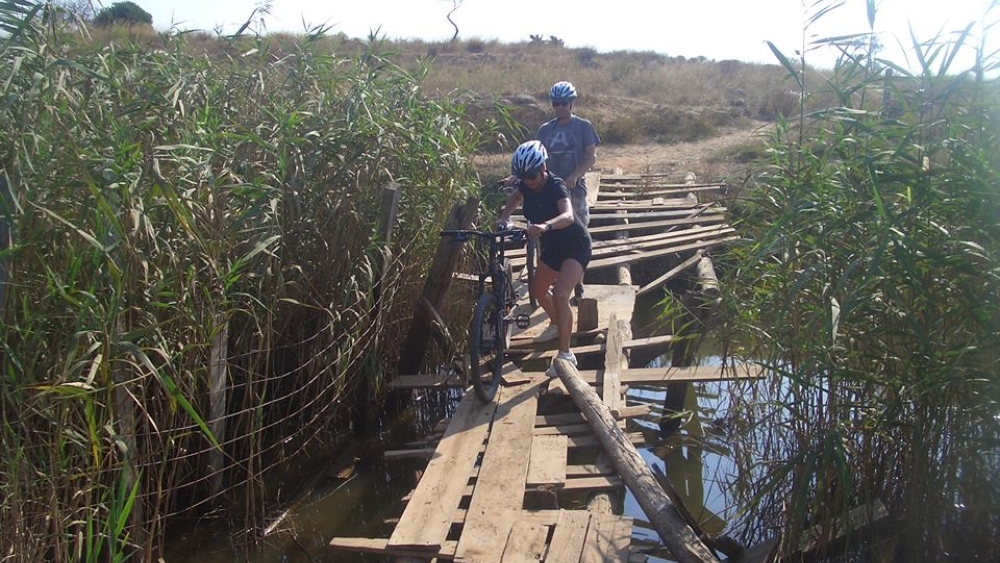 Albufeira Bike Rental