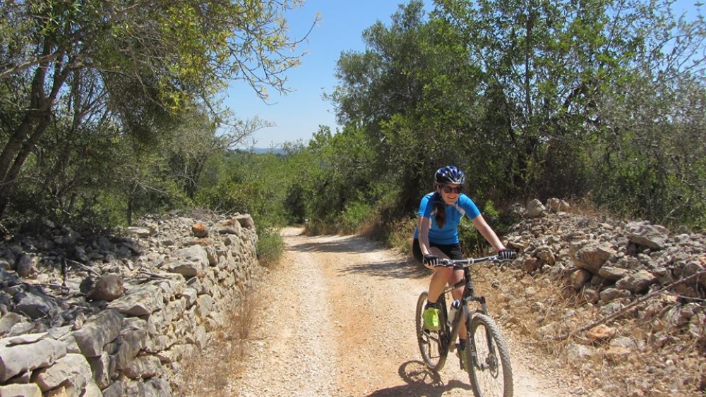 Albufeira Bike Rental