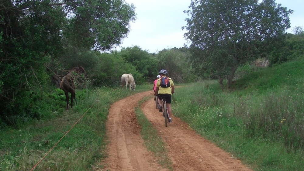 Albufeira Bike Rental 