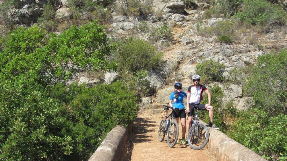 Albufeira Bike Rental 