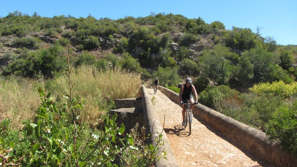 Albufeira Bike Rental