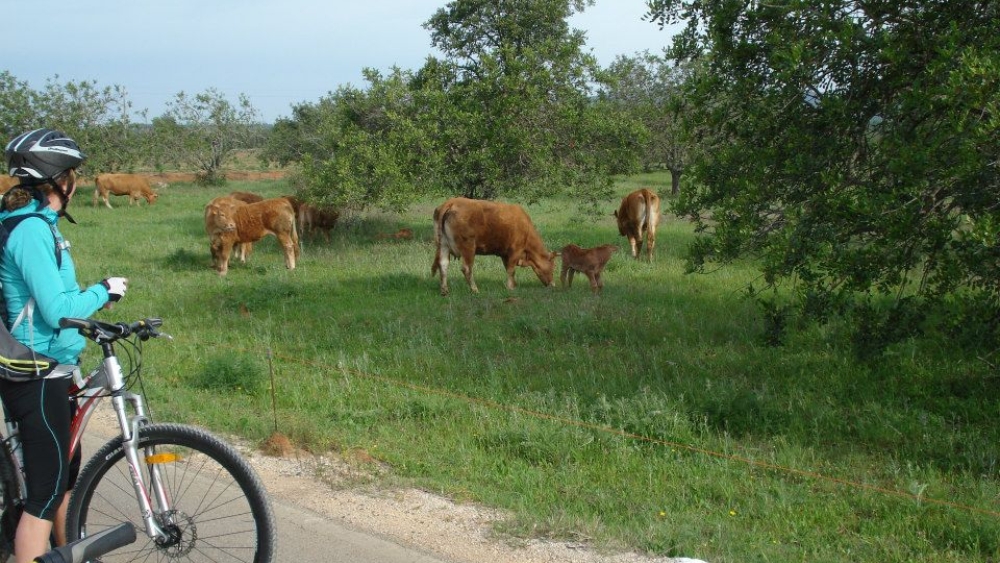 Albufeira Bike Rental