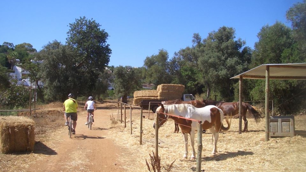 Albufeira Bike Rental