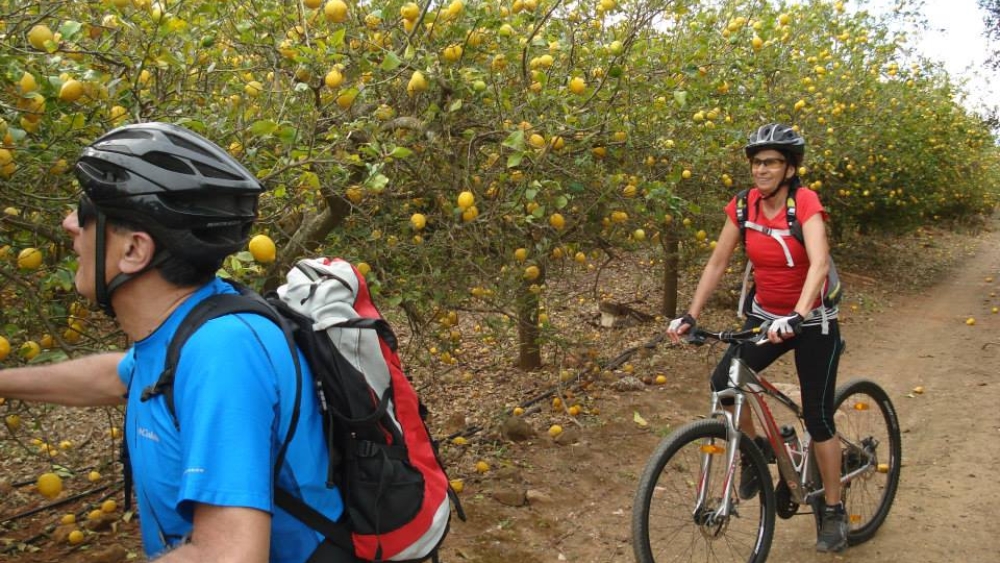 Albufeira Bike Rental