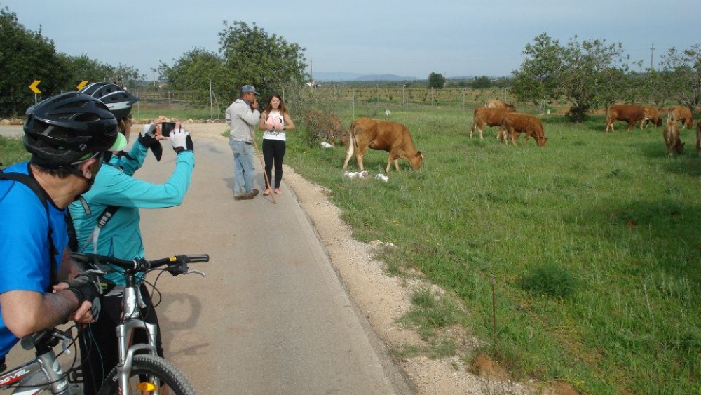 Albufeira Bike Rental