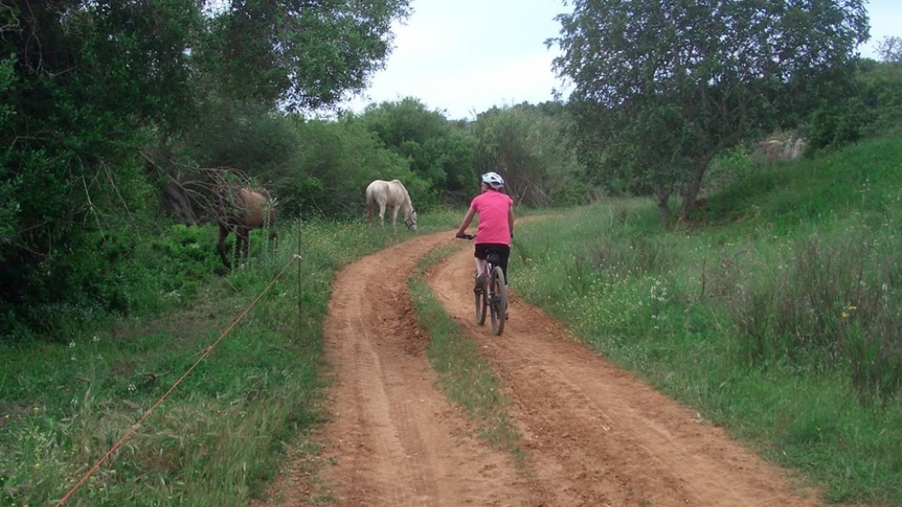 Albufeira Bike Rental