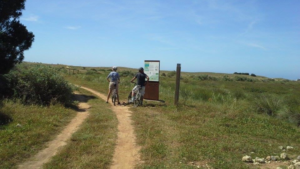 Albufeira Bike Rental