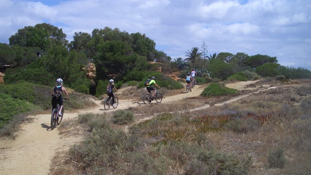 Albufeira Bike Rental