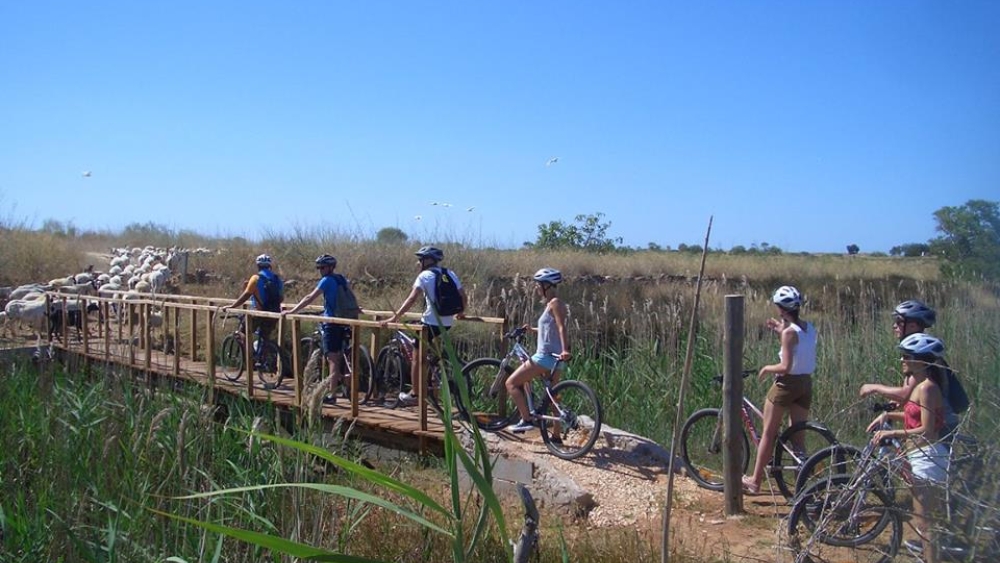 Albufeira Bike Rental