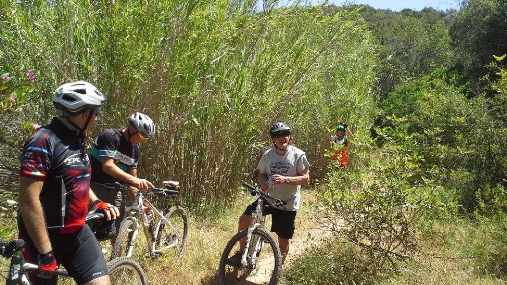 Albufeira Bike Rental