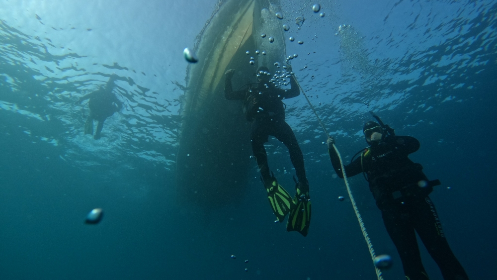 Indigo Divers – Dive Center & Shop