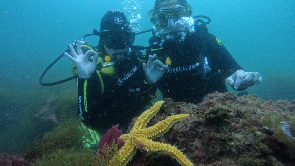 Indigo Divers – Dive Center & Shop