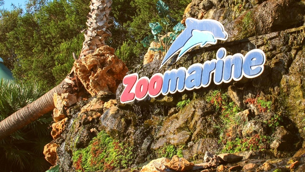 Zoomarine