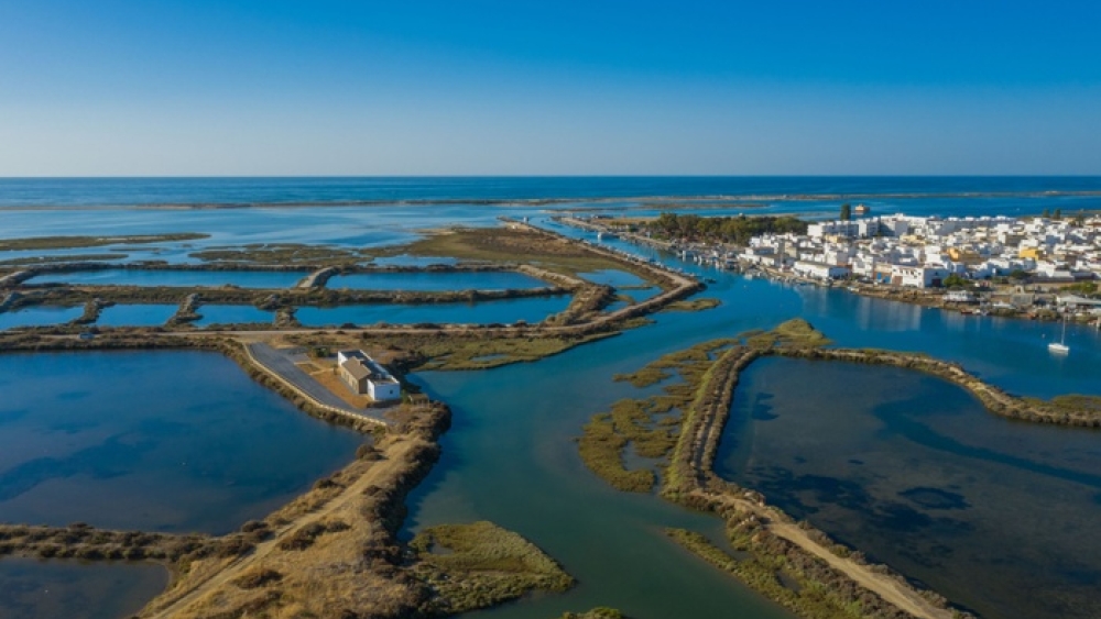 RCM & Filhos Lda Construções