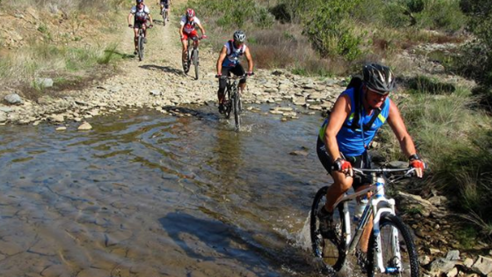 Tours & Tracks Algarve