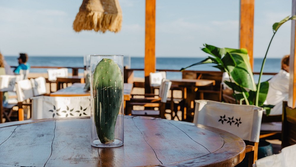 Nosolo Água Albufeira